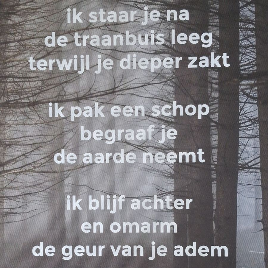 Werk van Arie van Driel