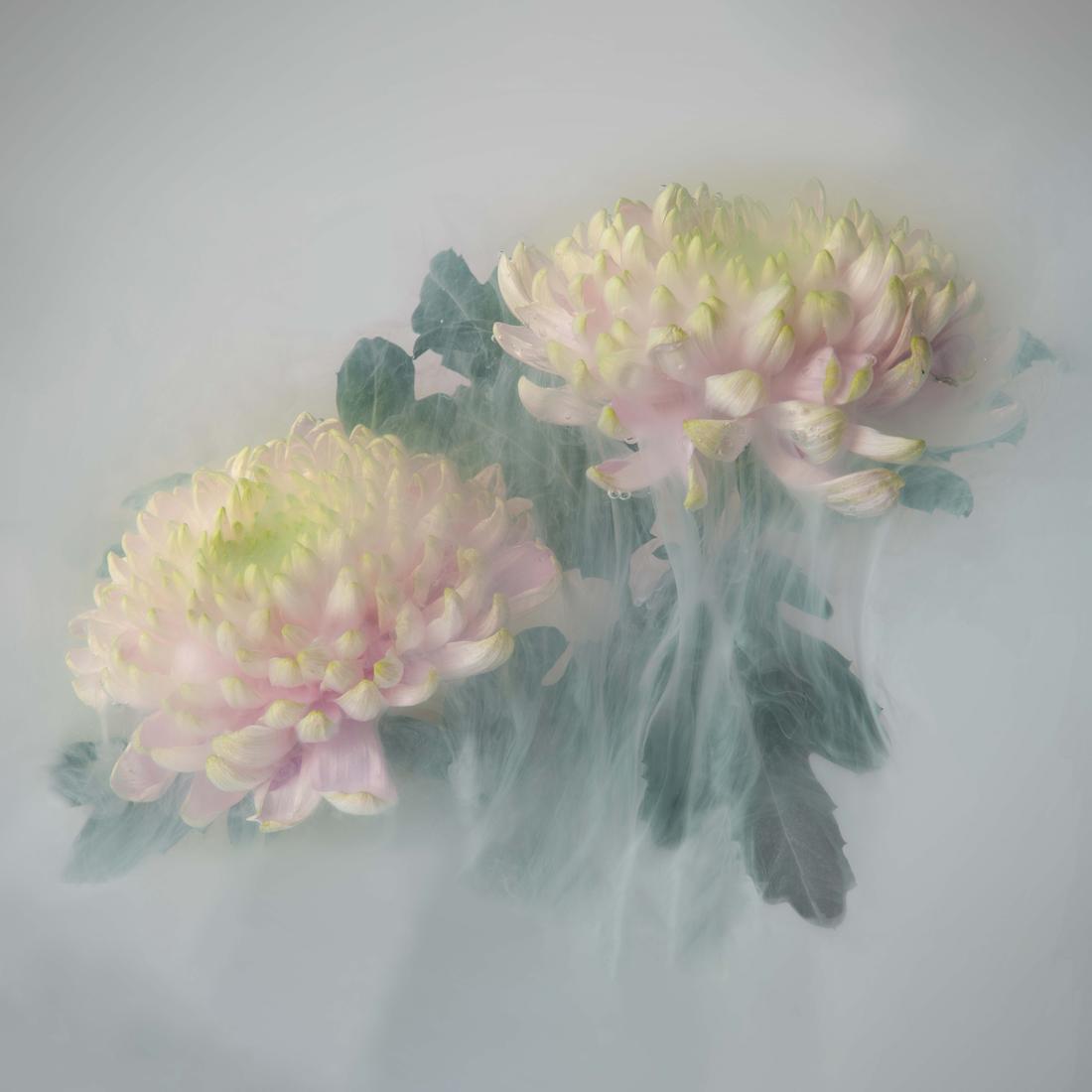 Werk van Elma Claassen