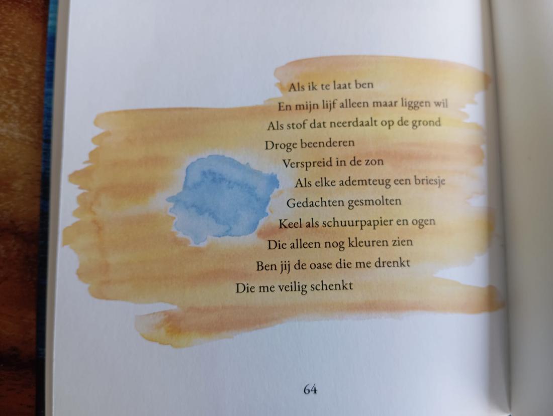 Werk van Nouki Smeur